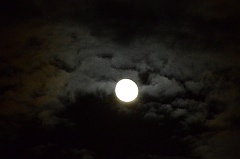 fullmoon 021